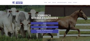 criação e engorda de gado, criação de cavalos